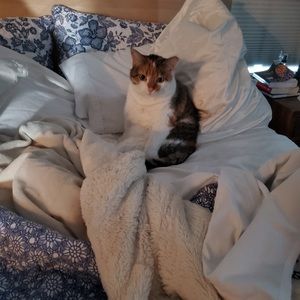 Meet your Posher, Matthew